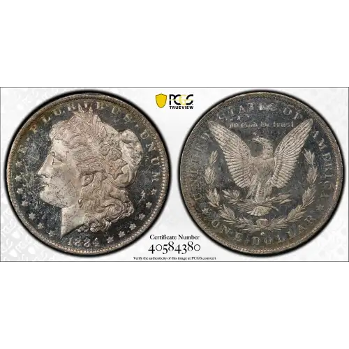1884-O $1, DMPL (2)