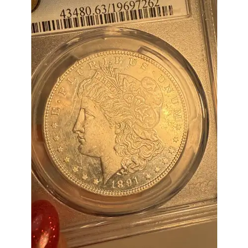 1891 $1 VAM 2 Doubled Ear TOP 100, DMPL (5)