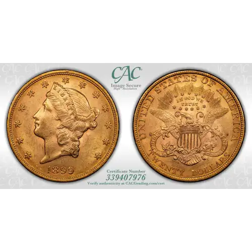 1899 $20 (4)