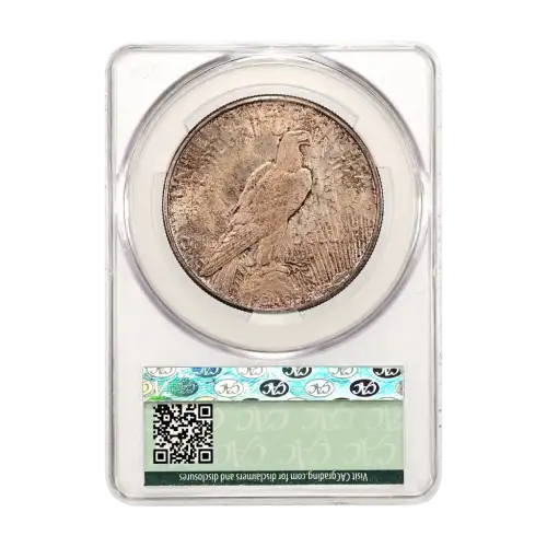 1921 Peace $1 High Relief (3)