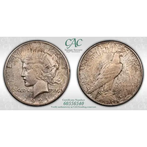 1921 Peace $1 High Relief (4)