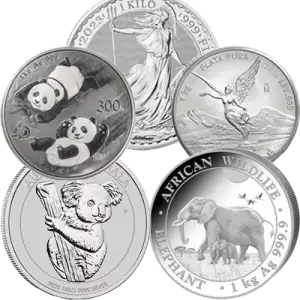 1kg Generic Silver Round (2)