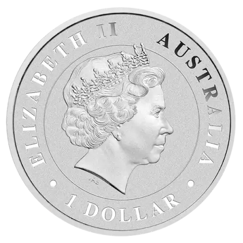 2015 1oz Perth Mint Silver Funnel Web Spider (3)