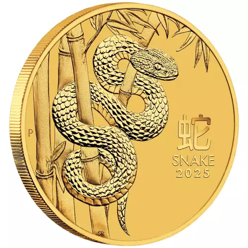 2025 10oz Australian Perth Mint Gold Lunar Series III: Year of the Snake (3)