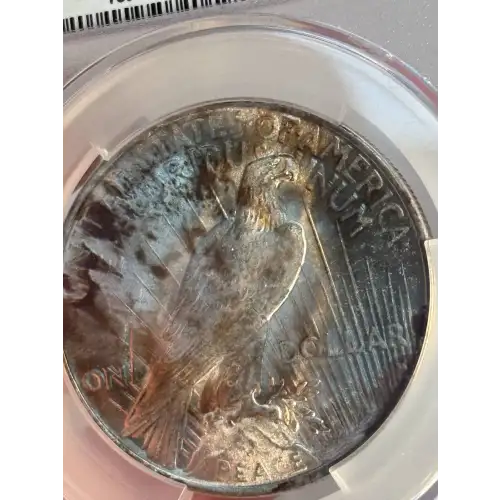 Mint Error Peace Dollar