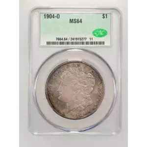 Morgan Silver Dollar (4)