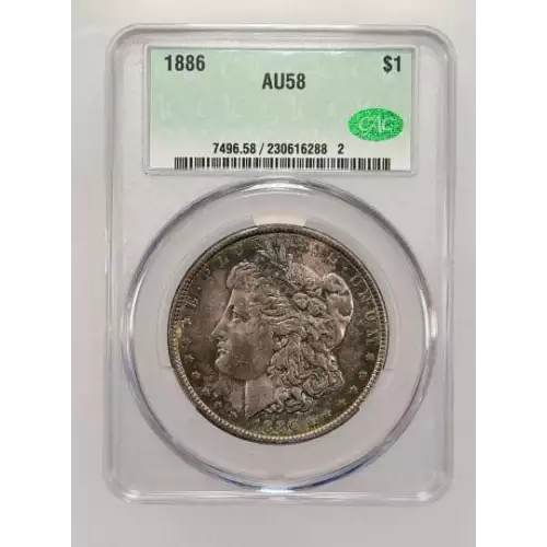 Morgan Silver Dollar