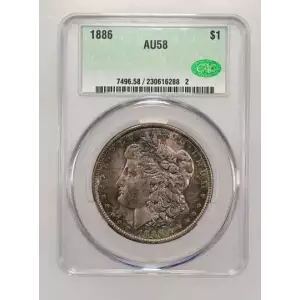 Morgan Silver Dollar