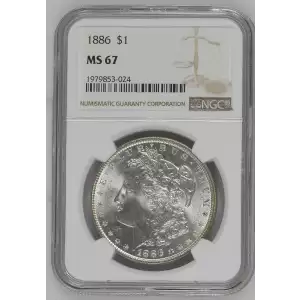 Morgan Silver Dollar (2)