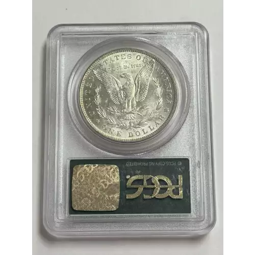 Morgan Silver Dollar (2)